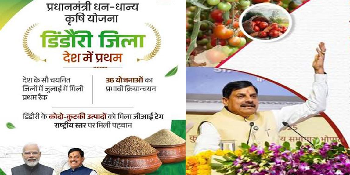 मध्य प्रदेश का डिंडौरी बना देश का नंबर-1 जिला, प्राकृतिक खेती और मिलेट्स को मिली नई उड़ान 