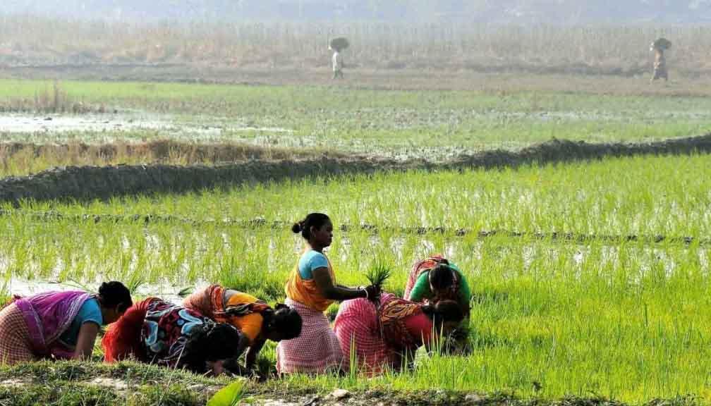 किसानों की किस्मत चमकाएंगी ये सरकारी योजनाएँ, कम होगा खेती का खर्च और बढ़ेगी आय