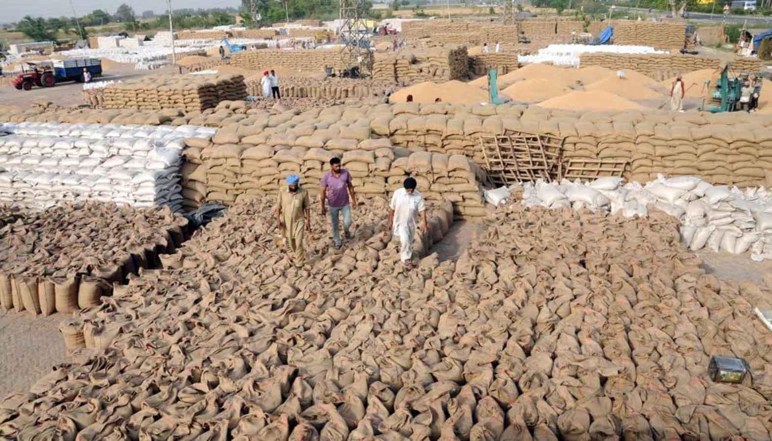 अन्नदाताओं की पीठ पीछे बड़ा खेल: किसानों को कानों-कान खबर नहीं और उनके नाम पर बिक गया 6,970 क्विंटल गेहूं