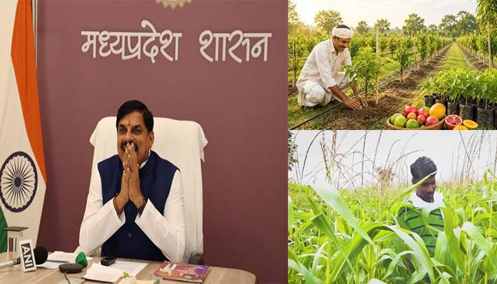 खेती की नई तकनीकें हैं किसानों की समृद्धि का नया द्वार: मुख्यमंत्री डॉ. मोहन यादव- बागवानी में मध्यप्रदेश देश में प्रथम