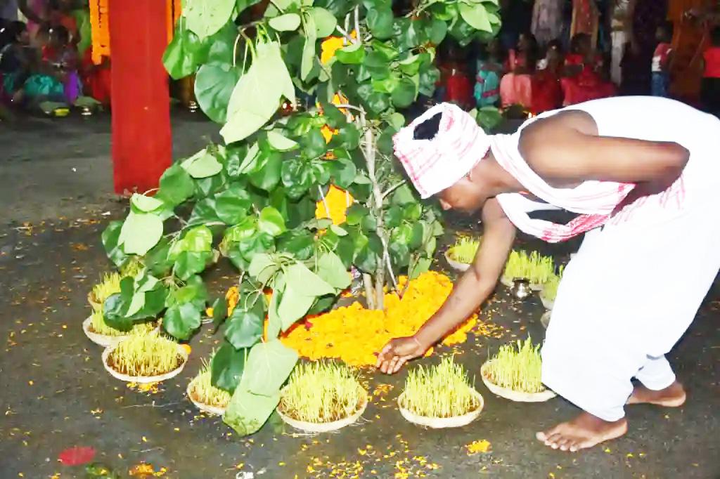 पहचान का वनवास