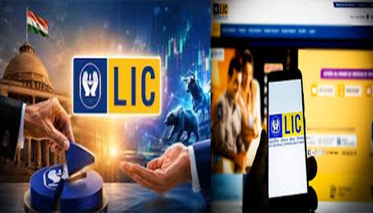 LIC OFS: सेबी के नियमों को पूरा करने के लिए सरकार बेचेगी LIC में 6.5% तक हिस्सेदारी, जानें शेयरधारकों और पॉलिसीधारकों पर असर