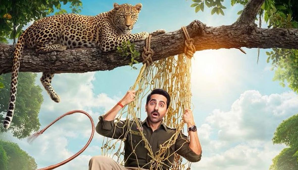 Box Office: आयुष्मान की 'पति पत्नी और वो 2' की हालत पतली, 8 दिन बाद भी बजट से कोसों दूर है फिल्म