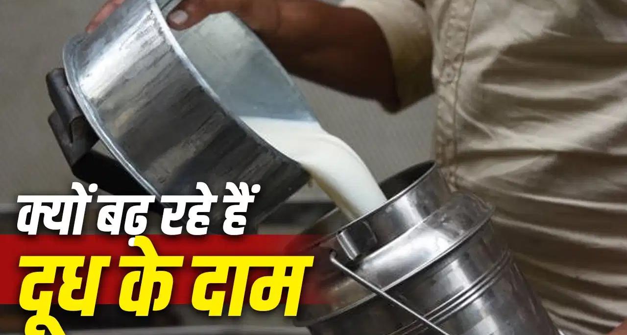 दूध फिर होगा महंगा: महाराष्ट्र में ₹9 की भारी बढ़ोतरी, जानिए क्यों बढ़ रहे हैं दाम और आगे क्या हैं अनुमान
