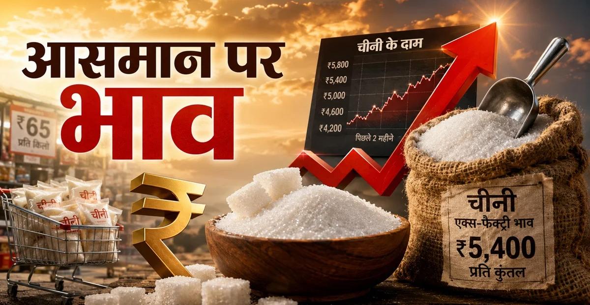त्योहारी सीजन से पहले मिठास हुई कड़वी: देश में चीनी ₹65/किलो के पार, जमाखोरी पर नकेल कसने सरकार का बड़ा एक्शन