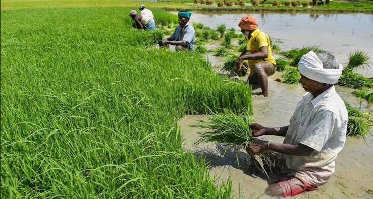 राजस्थान और तेलंगाना के किसानों को केंद्र की बड़ी सौगात: कृषि योजनाओं के लिए ₹605.71 करोड़ जारी