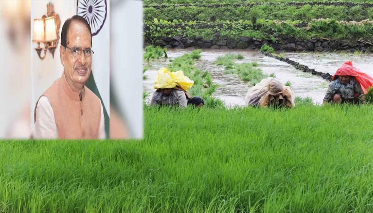 महाराष्ट्र के अन्नदाताओं को केंद्र की बड़ी सौगात: कृषि विकास के लिए ₹335 करोड़ की राशि स्वीकृत