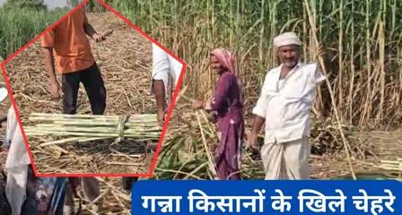 गन्ना किसानों की बल्ले-बल्ले: हरियाणा सरकार देगी ₹5,000 प्रति एकड़ प्रोत्साहन, आधुनिक तकनीक से बढ़ेगी पैदावार