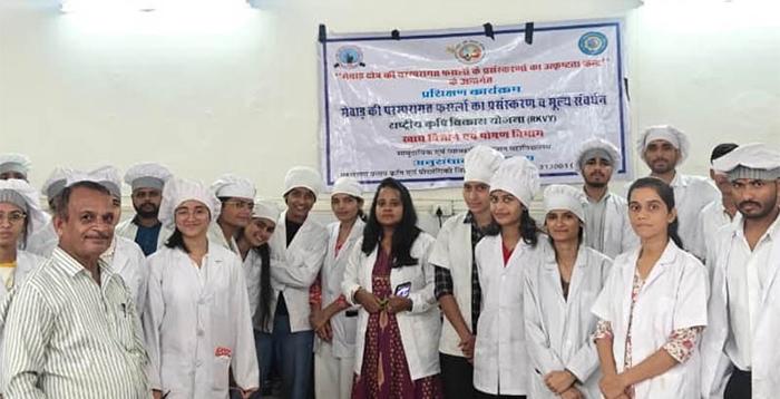 मिलेट्स का नया दौर: कुकीज, केक से खाखरा तक; उदयपुर में युवाओं को मिली मिलेट्स प्रोसेसिंग की ट्रेनिंग